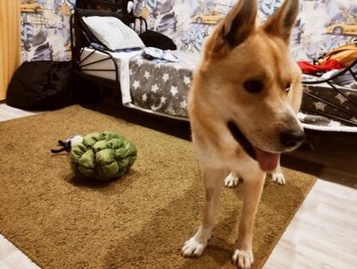 Фото: Петербургское метро
