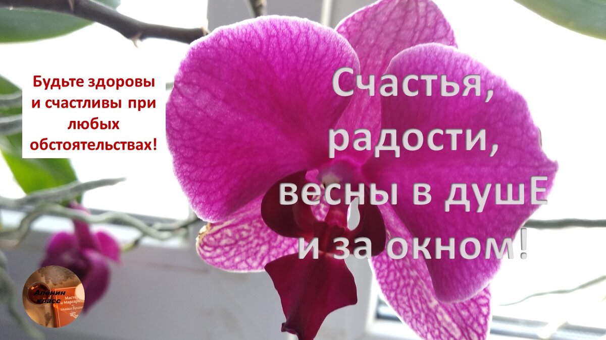 пожелания от автора