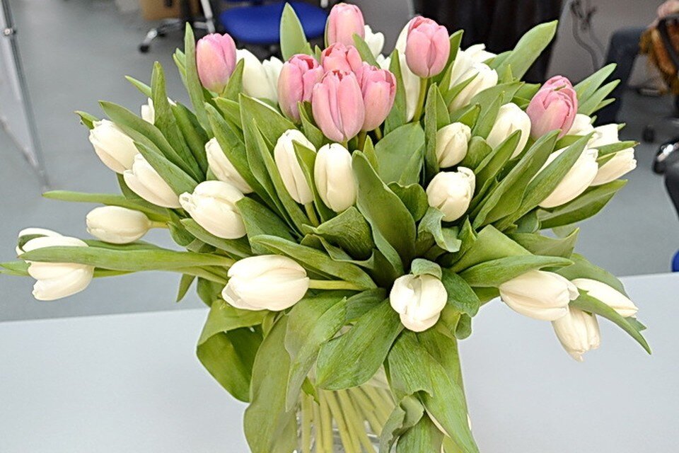     . Татьяна ПОДЪЯБЛОНСКАЯ