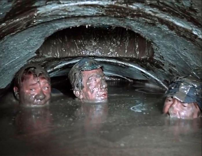    Кадр из фильма "Джентльмены удачи"YouTube