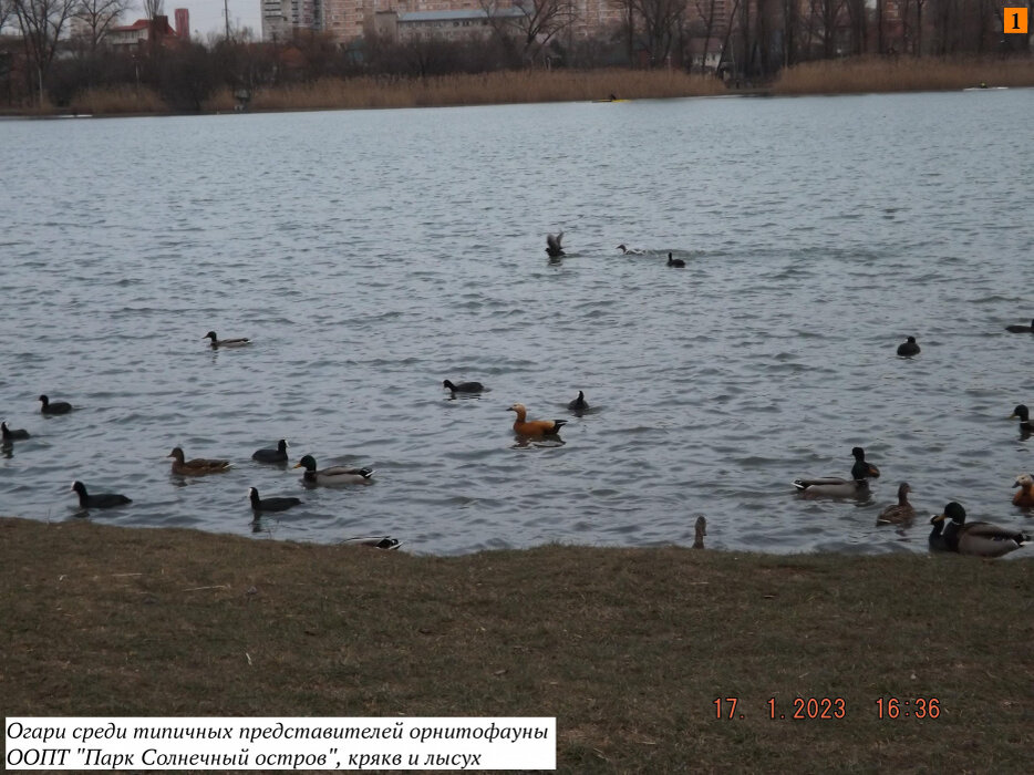 Фото: uooptkk.ru