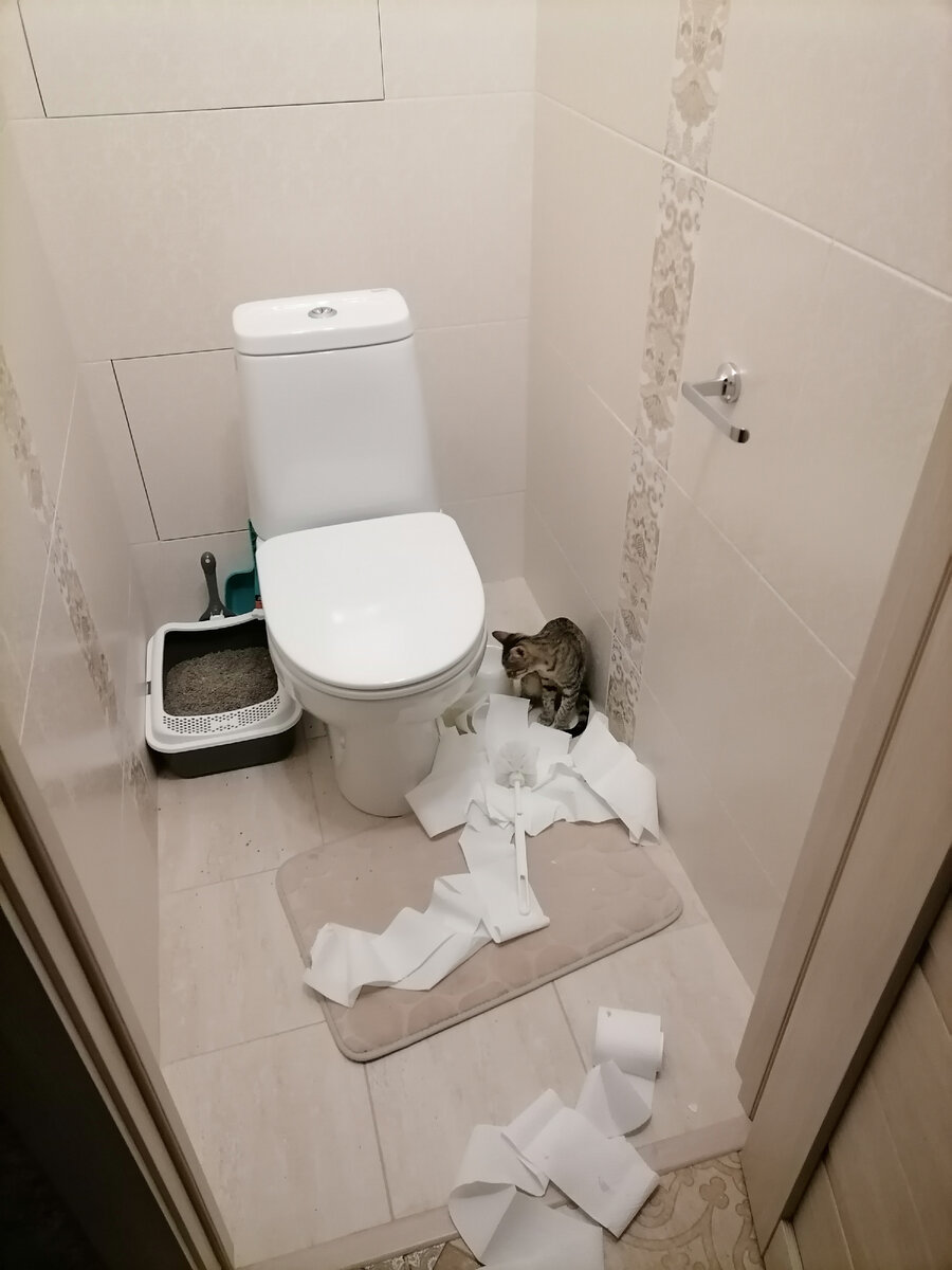 Полный кавардак... 