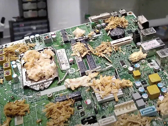     Фото: The Unconventional Computing Laboratory