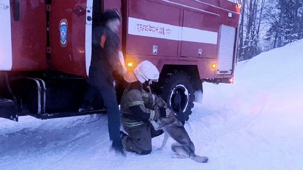    Фото ГУ МЧС по Свердловской области