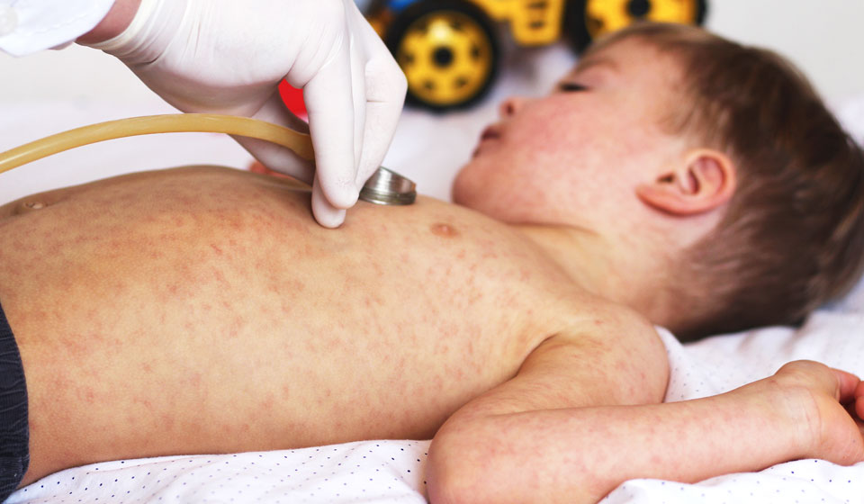 все фото - яндекс-картинки