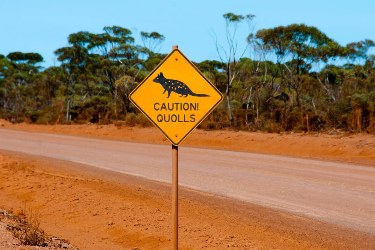 Natural dangers. Yellow Road signs Australia. Australia Danger.