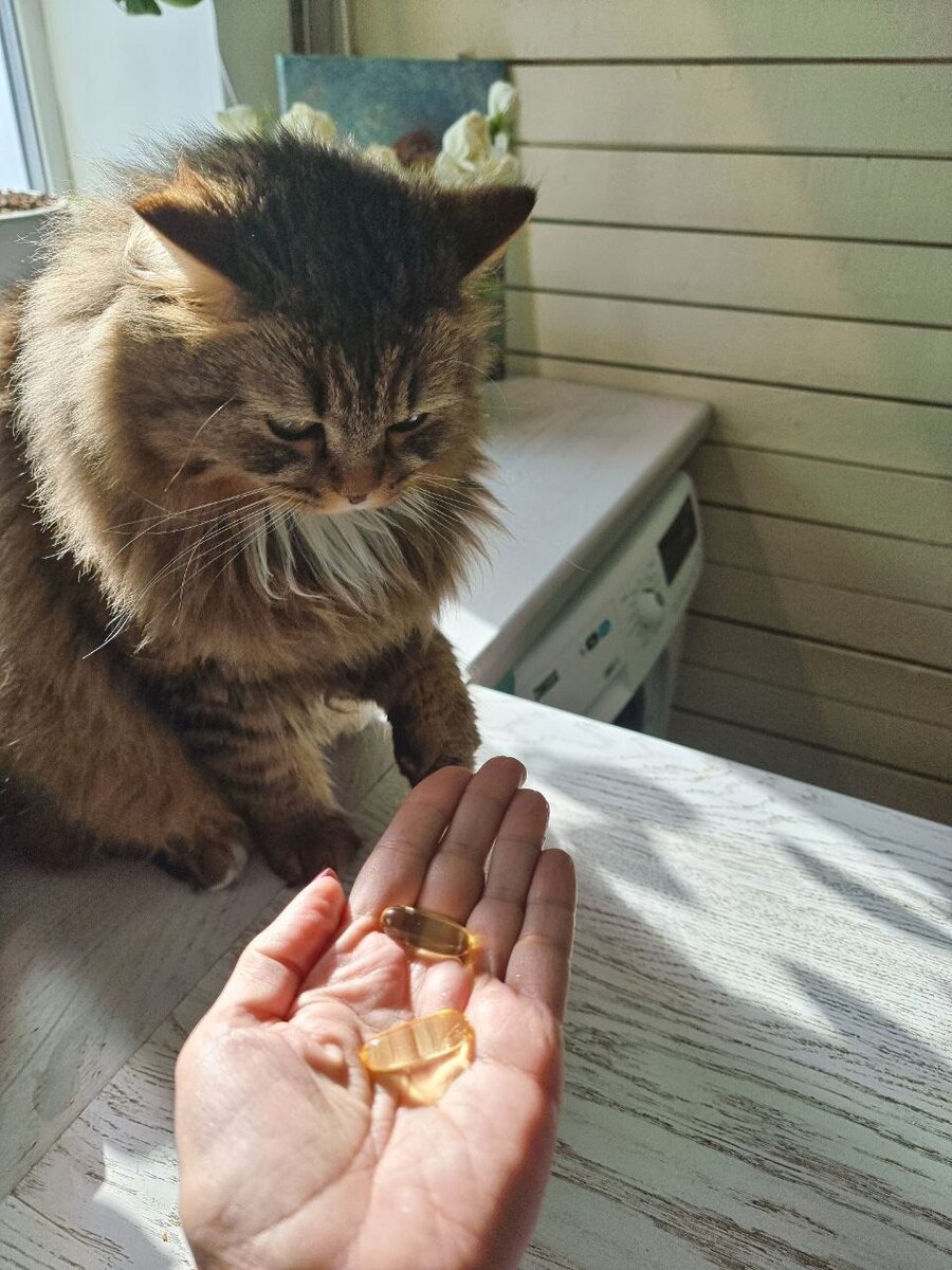 Капсулы огромные. Не каждый может проглотить, но каждый может раскусить :-)