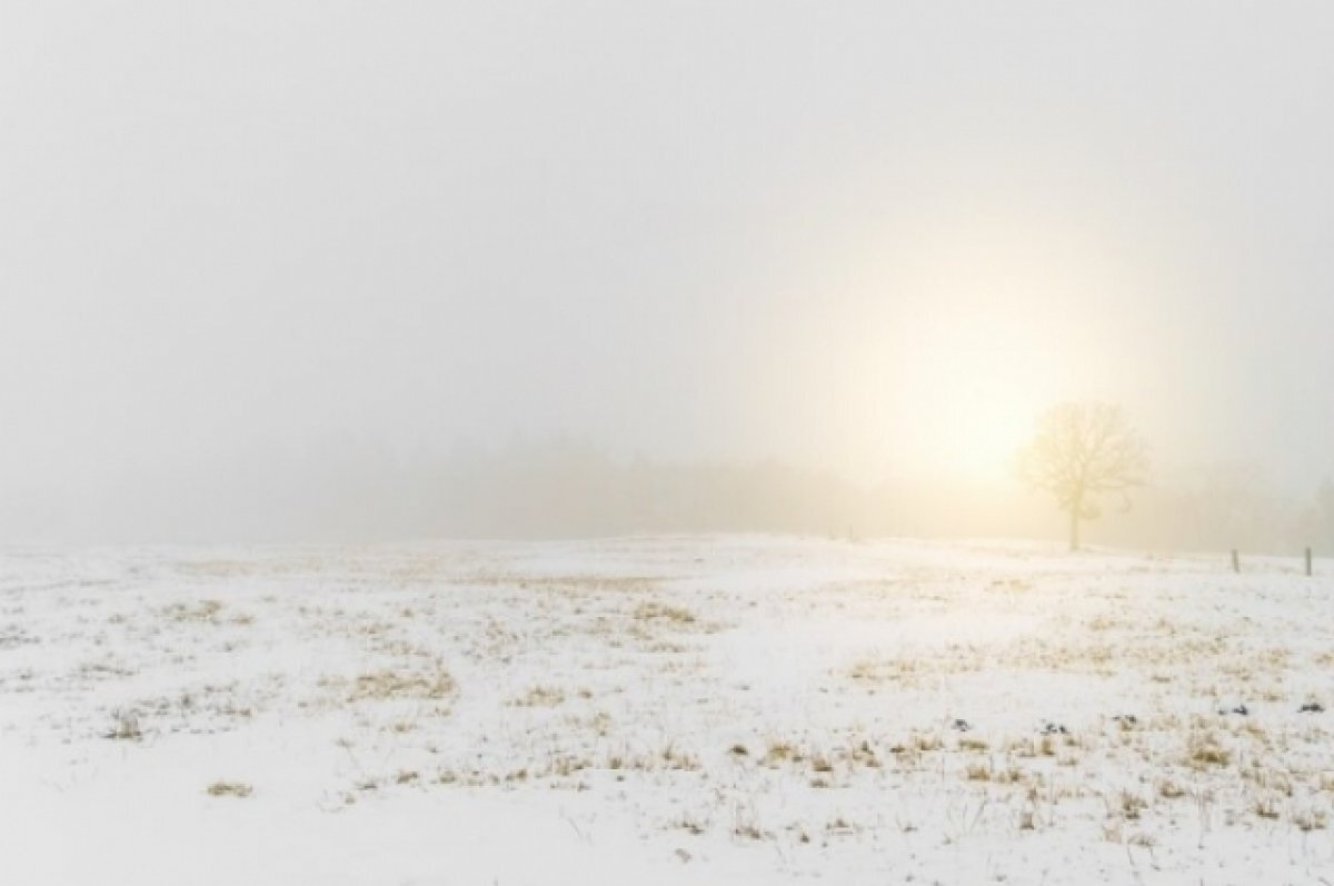   ГИБДД предупреждает туляков об усилении ветра 11 марта