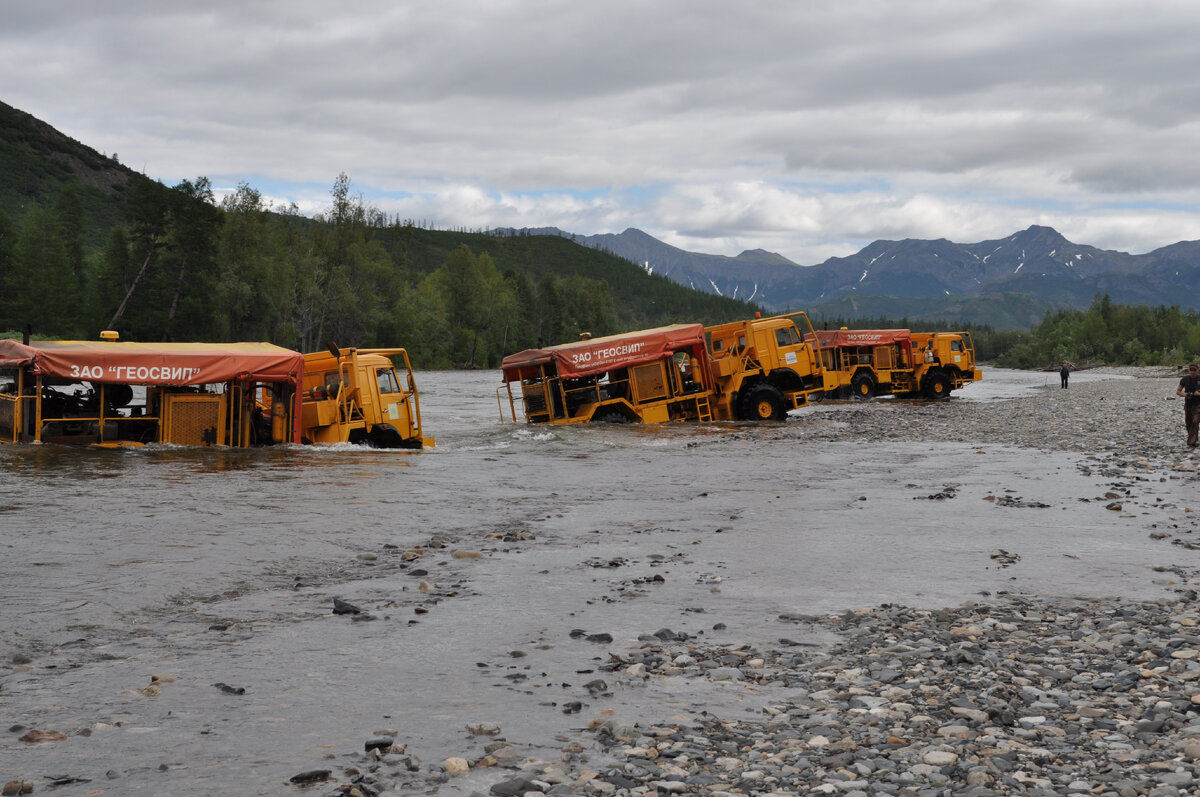 Вилига бушует после дождя
