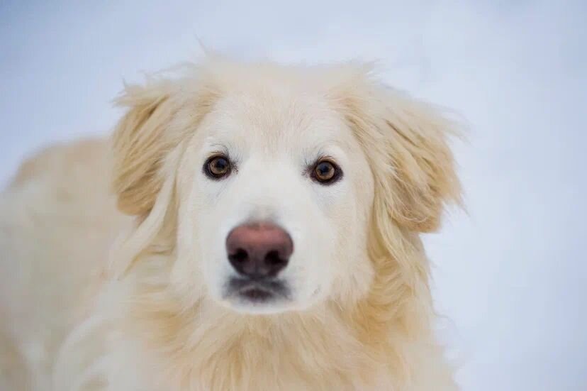 Смотрите, какой красавчик!