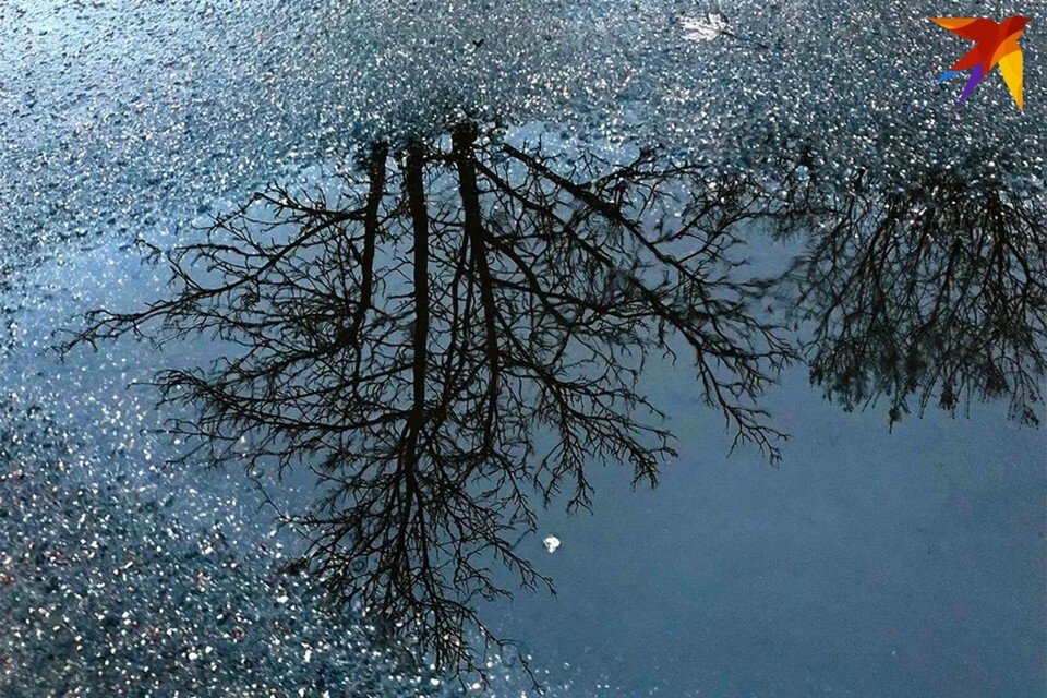     День Василия Капельника отмечают 13 марта - собрали запреты и приметы. Дарья ПУТЕЙКО