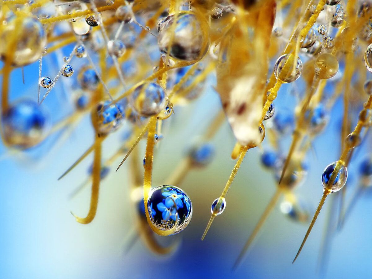 Источник: Яндекс фото.