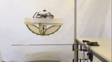   E. Aucone et al. / Science Robotics, 2023