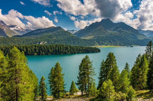 Фото: pixabay.com