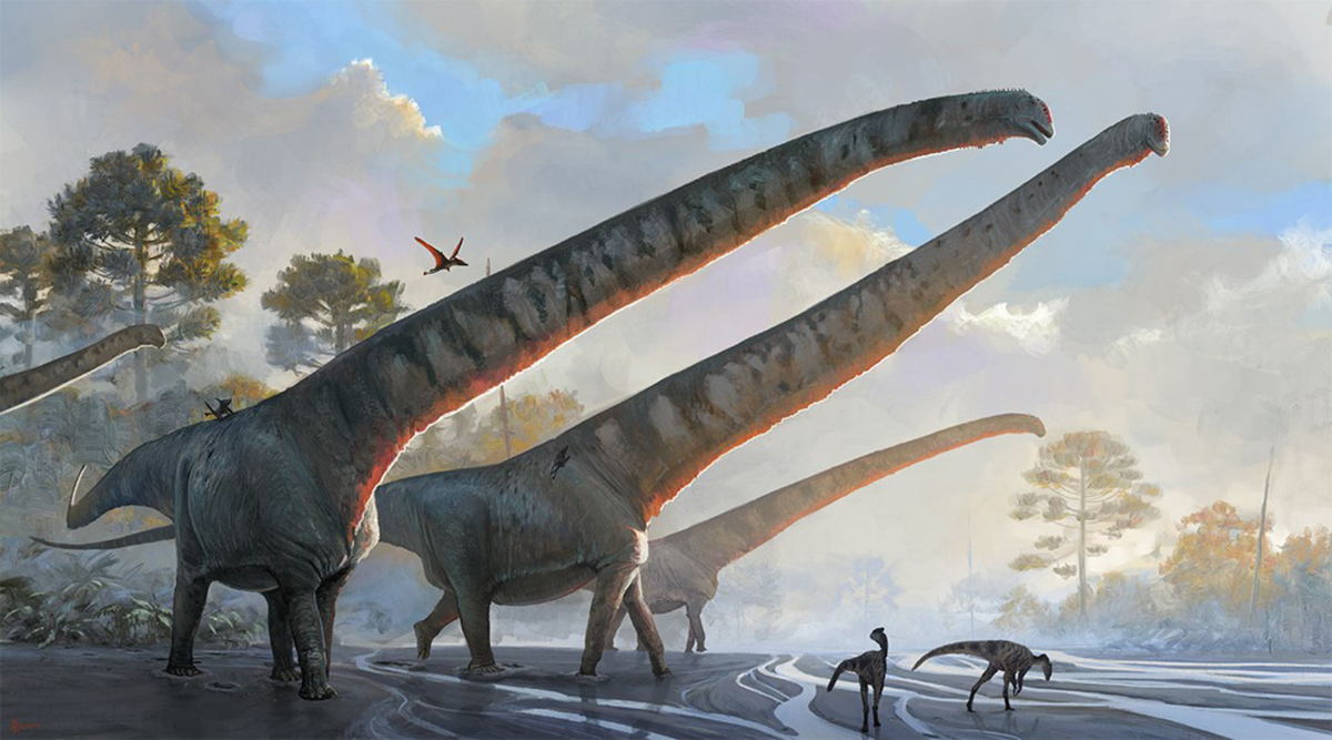 Mamenchisaurus sinocanadorum от Júlia d’Oliveira