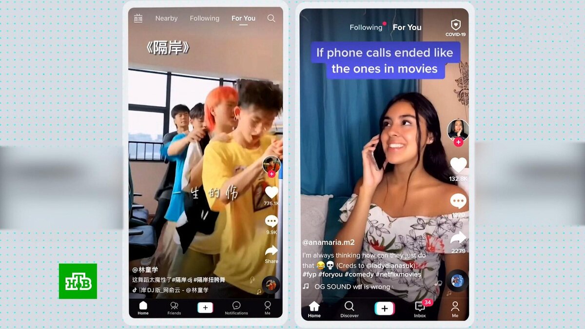 СМИ: руководство TikTok изучает возможность продажи соцсети | НТВ: лучшее |  Дзен