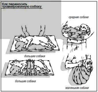 Следуйте примеру и постарайтесь не навредить