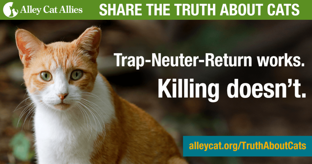 ОСВВ работает, убийство не работает