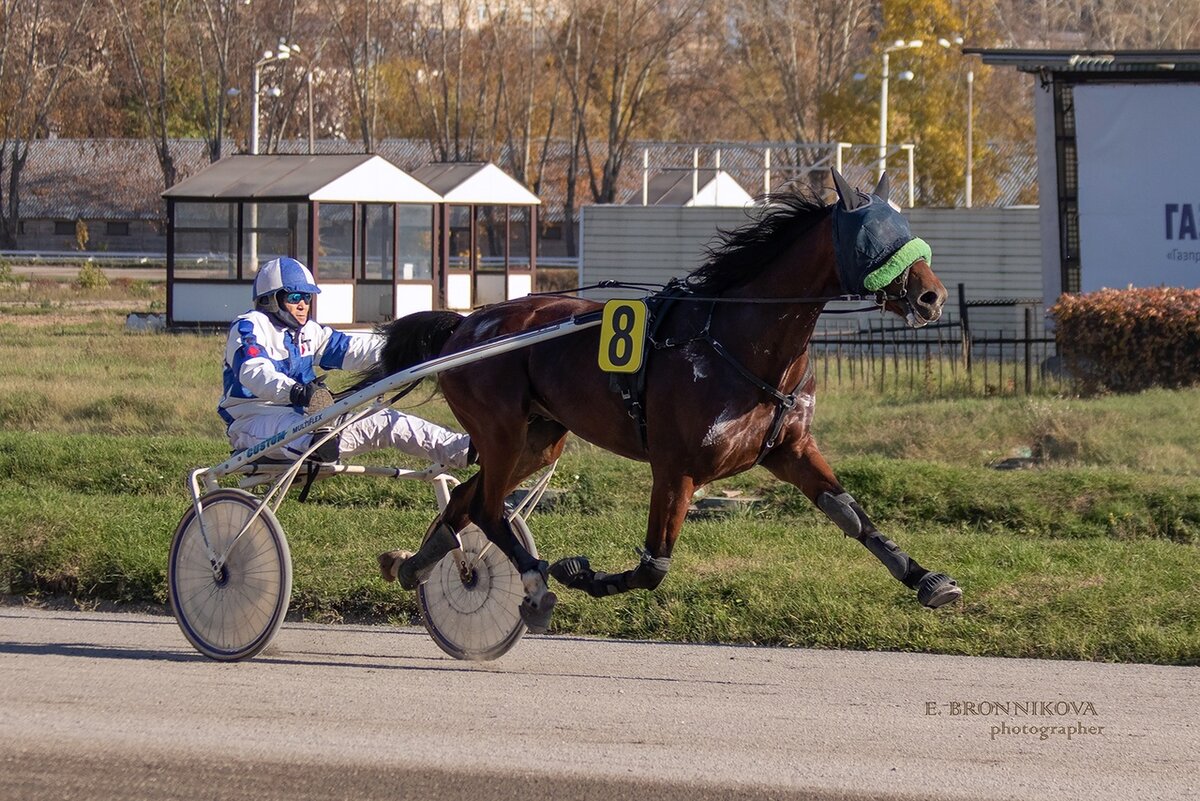 Леон СИ и Т. Тунгатаров