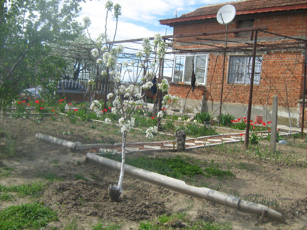 Так выглядел наш дом в апреле 2014 года.