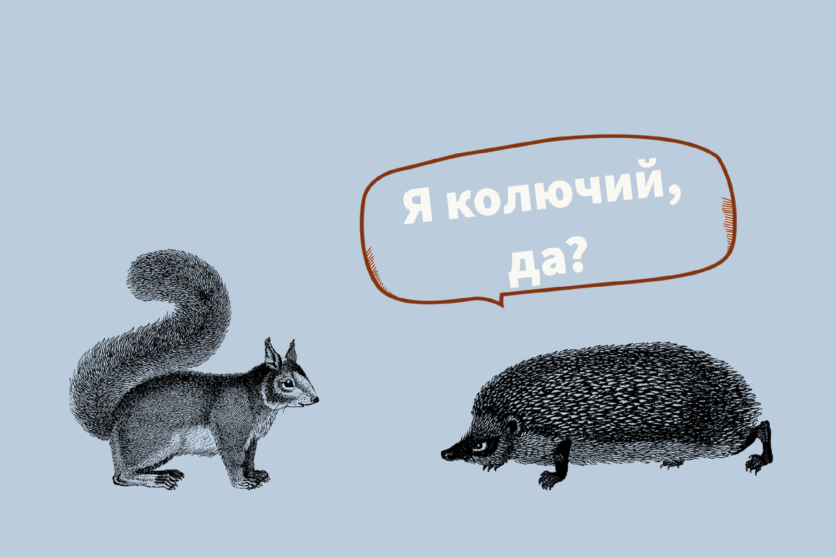 А иногда мы и сами спрашиваем - чтоб наверняка.