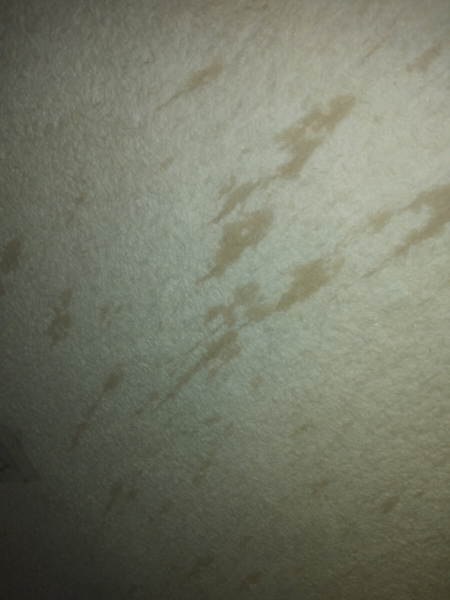 Личное фото автора Bahtysha. 