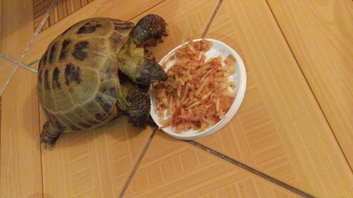 Наташа ест яблочко.