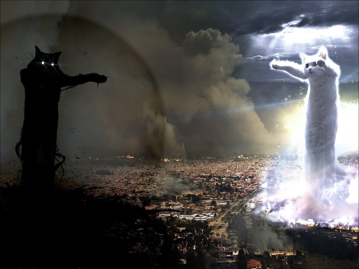 Красивая мелодия играется на чёрных и белых клавишах.