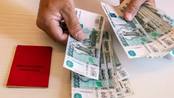    Мишустин напомнил о повышении социальных пенсий с 1 апреля Дарья Смирнова