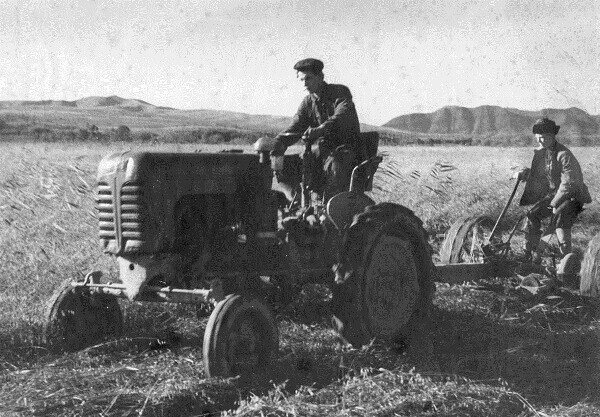 1956 год. За рулем трактора Тищенко Василий Иванович - звеньевой, знаменитый картофелевод.