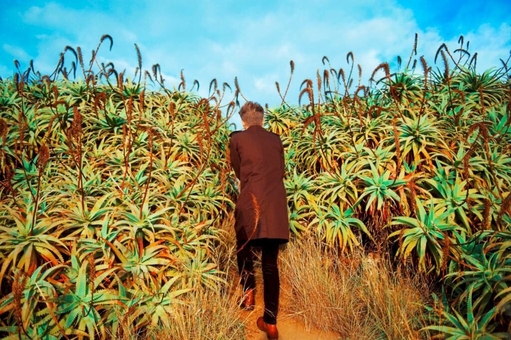     Фото: Sanja Marusic