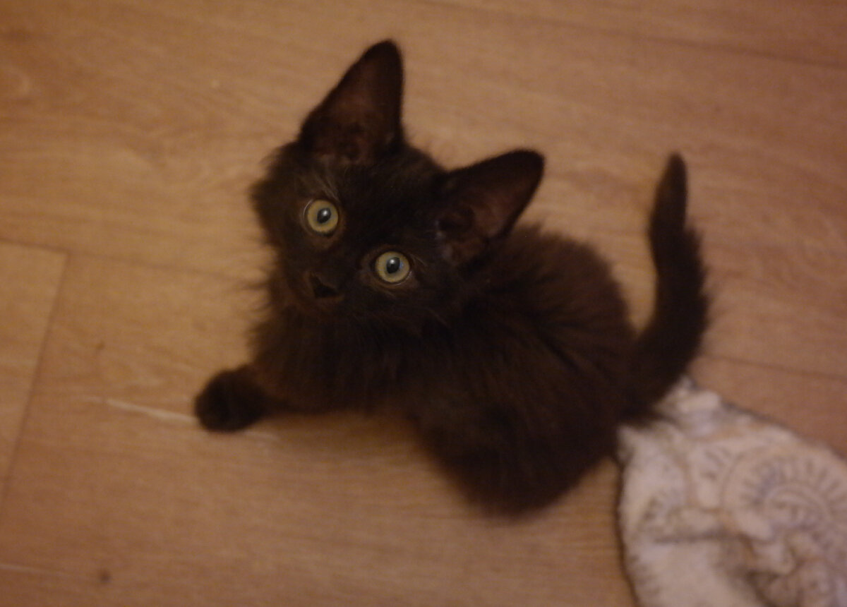 Фото из домашнего архива