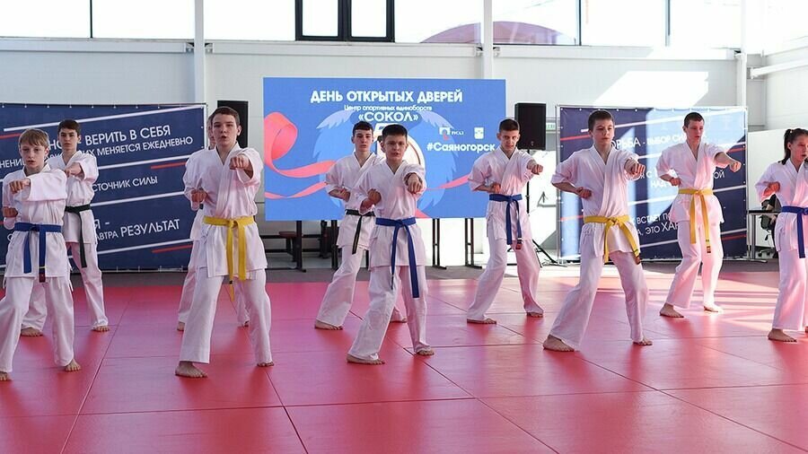     25 марта в Центре спортивных единоборств Саяногорска прошел День открытых дверей — туда могли прийти все желающие.
