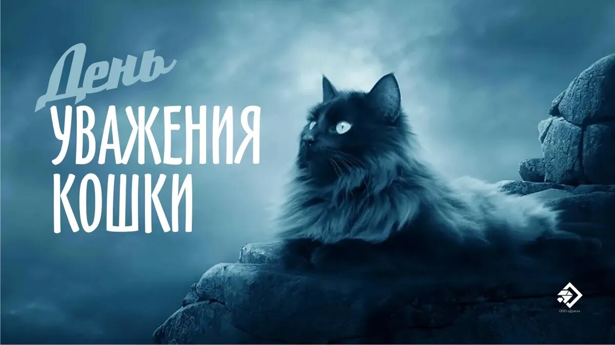 День уважения кошки. Иллюстрация: «Весь Искитим»