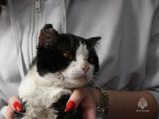     Фото: ГУ МЧС по Кемеровской области