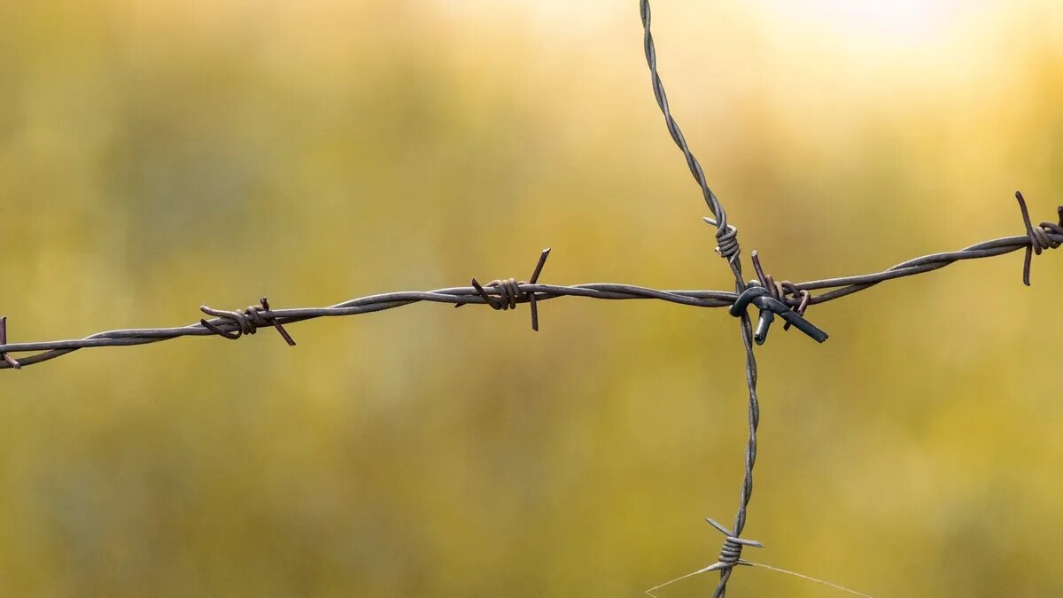 Мужчина отправился на спецоперацию добровольцев. Фото: Pxfuel.com