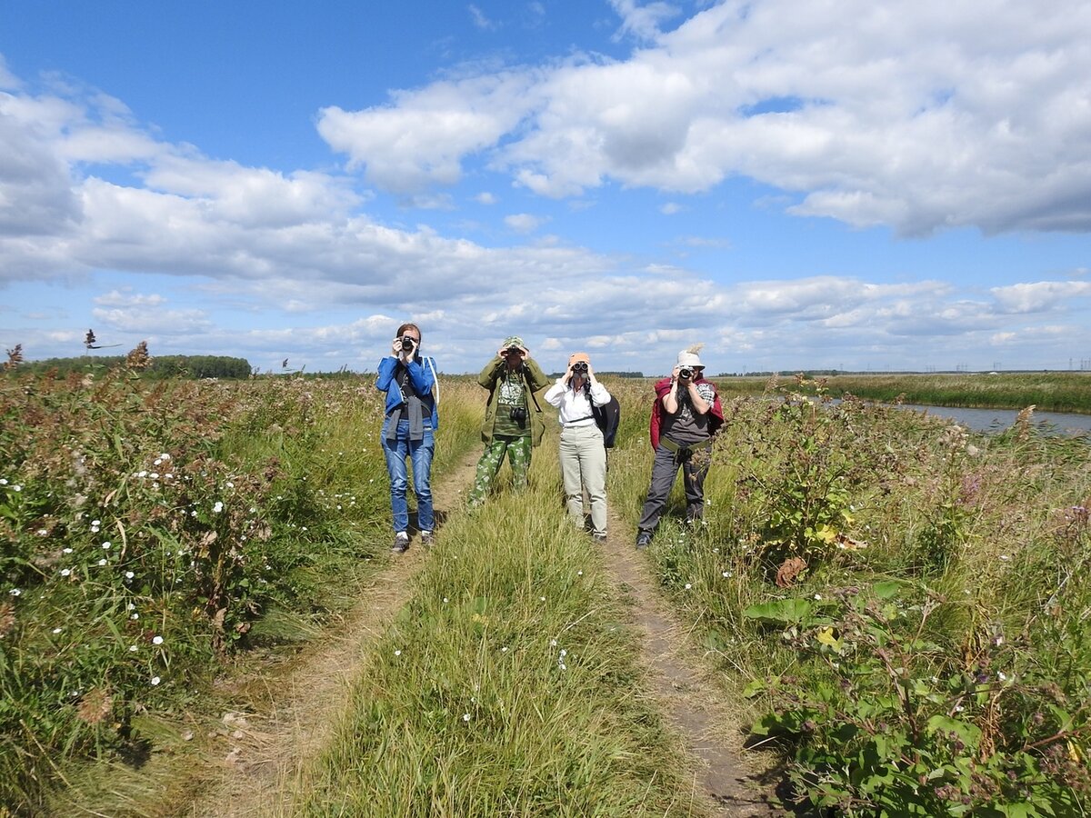 На птичьей экскурсии, фото автора