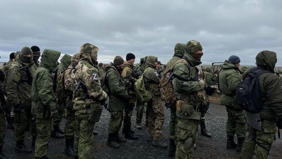 Служба в зоне СВО: сколько зарабатывают мобилизованные, контрактники и  добровольцы | Краснодар. Новости | Дзен