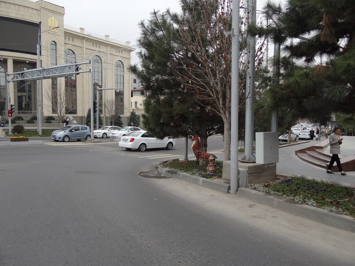 Автомобили в Самарканде преимущественно белые