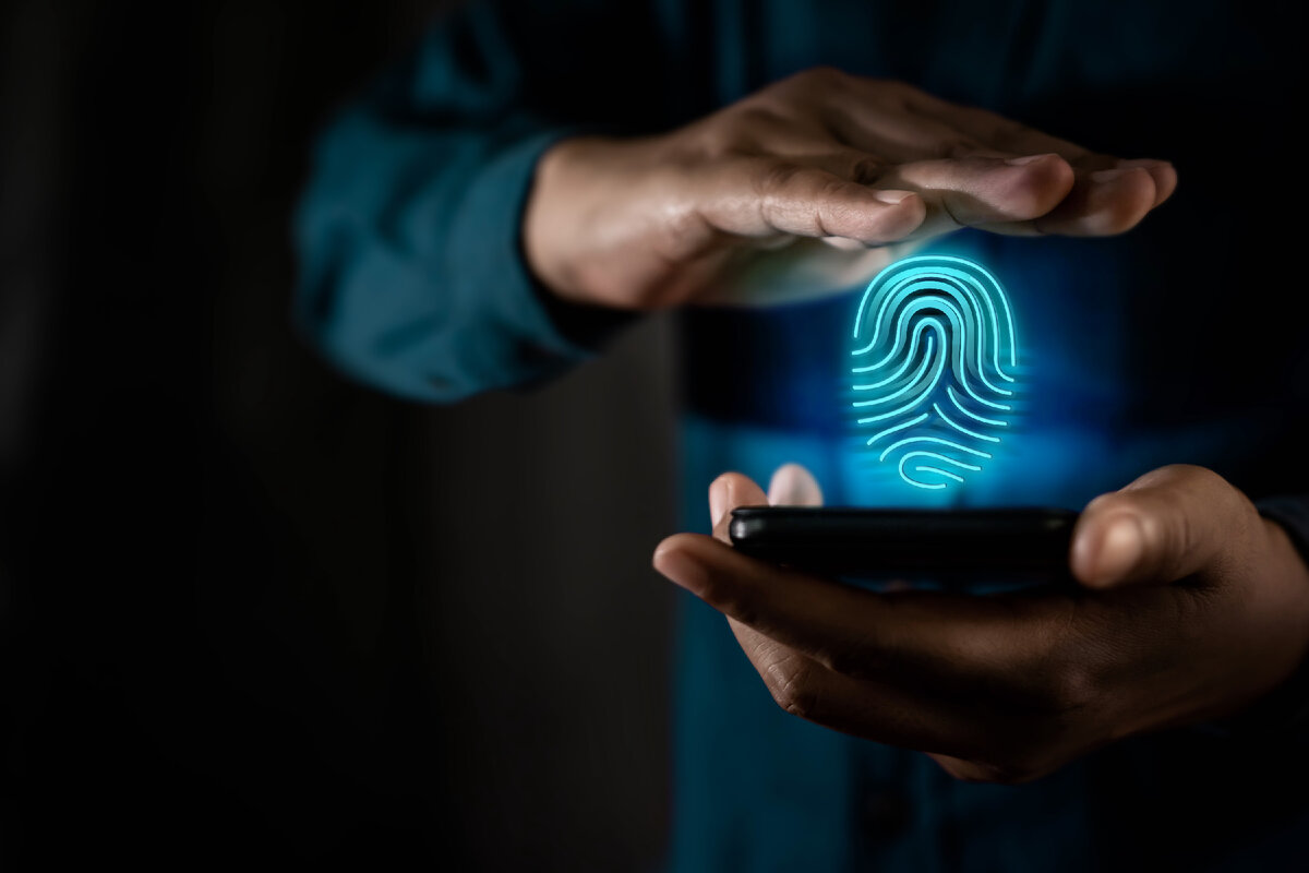 Автор: blacksalmon