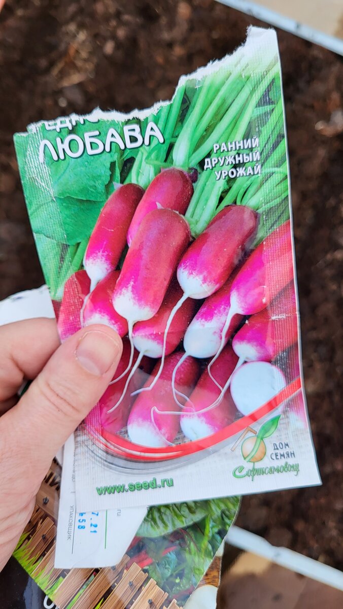 Редис Любава
