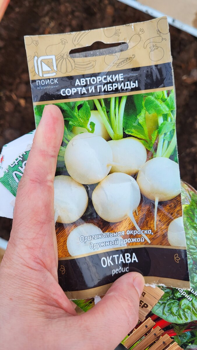 Редис Октава