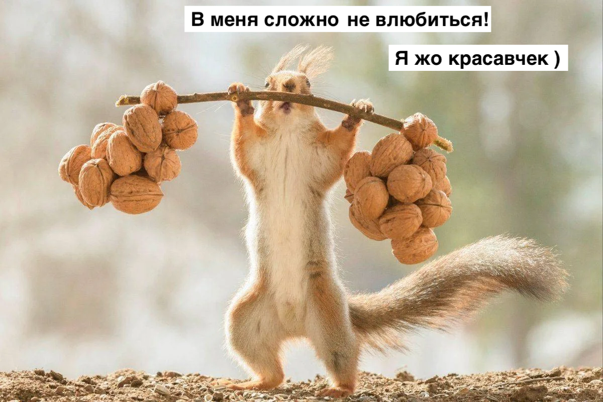 Мемы 1 апреля 