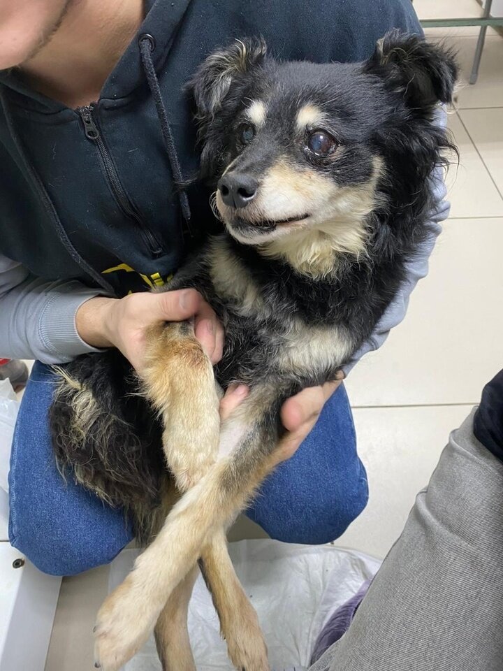     Фото предоставлено героем публикации