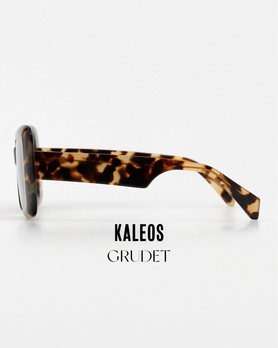 На фото представлена оправа Kaleos