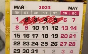    Фото: ОСН Инга Ланская