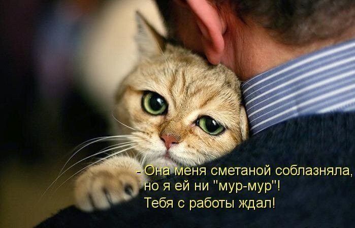 фото из открытых источников интернет