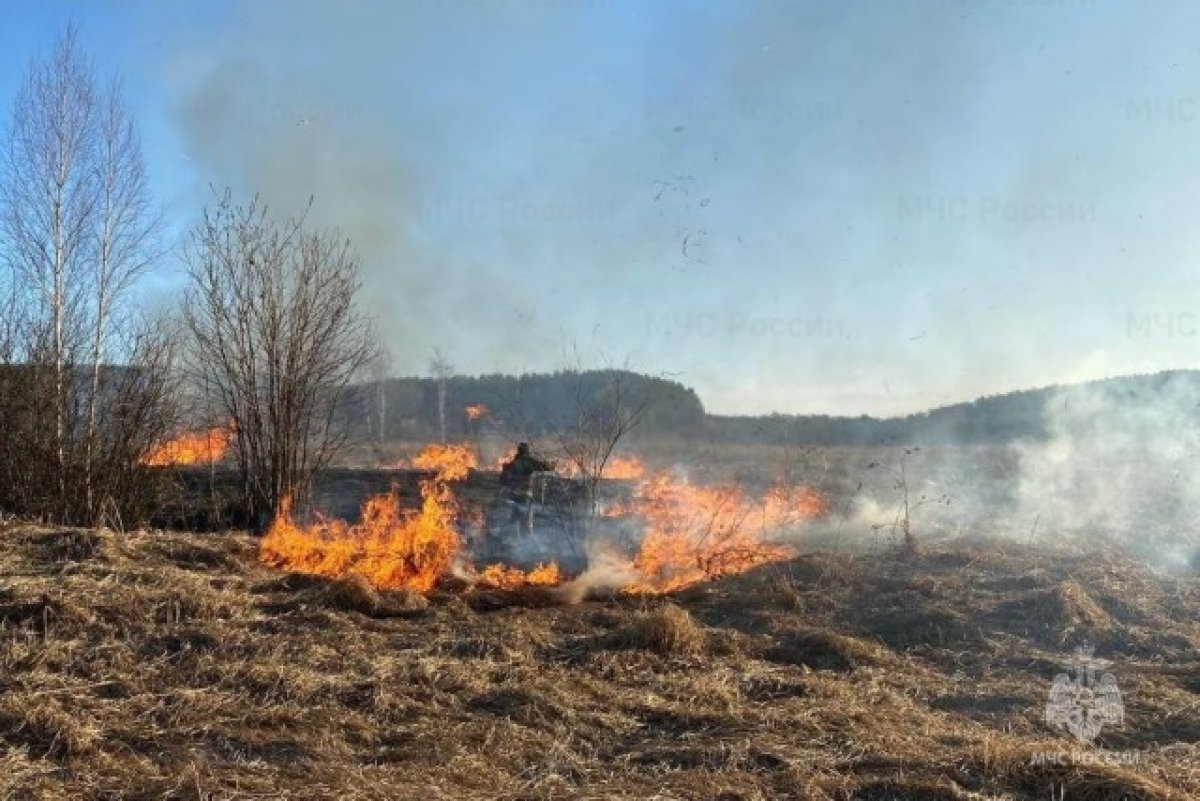    Пал или пропал. В Челябинской области участились природные пожары