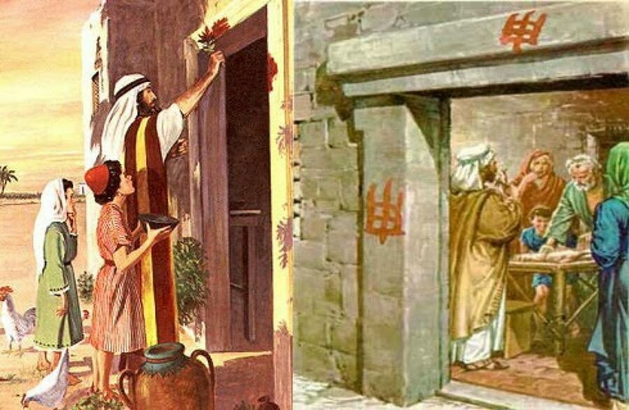 Мазали косяки дверей и окон