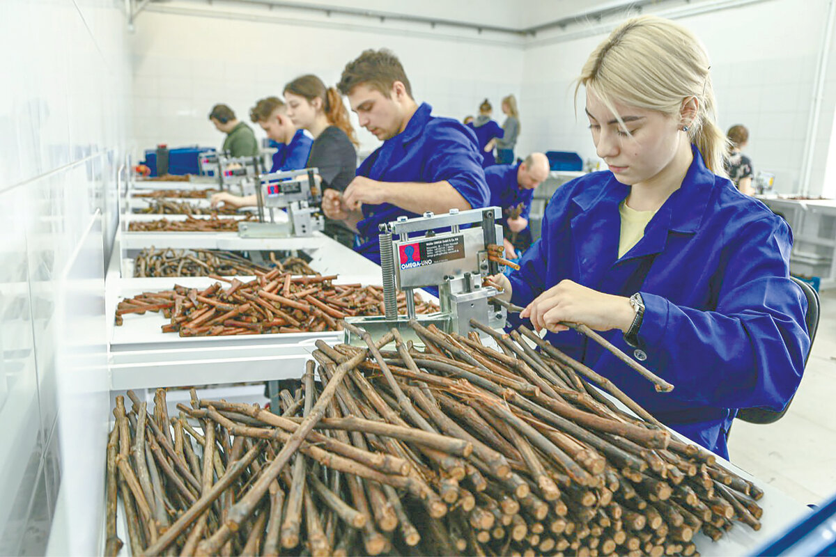 Фото: Михаил Гладчук